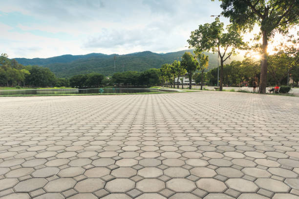 Best Residential Paver Driveway  in Harker Heights, TX