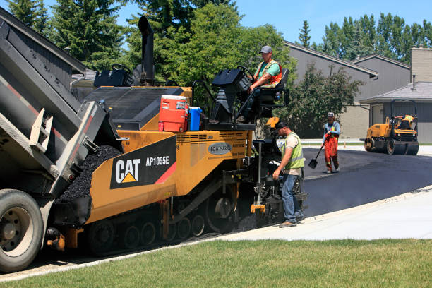 Best Decorative Driveway Pavers  in Harker Heights, TX